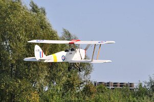 LT (11)